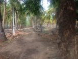 farm land for sale in omr kayar chennai