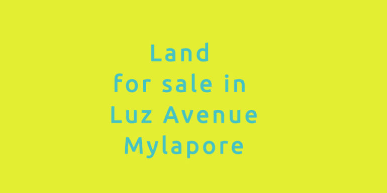 plot for sale in luz avenue mylapore