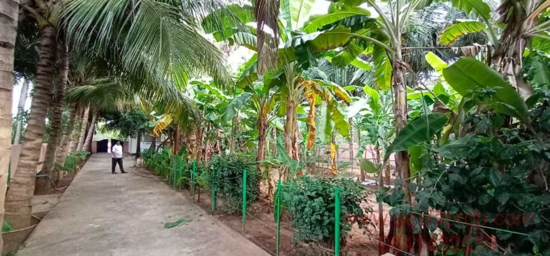 individual villa sale ecr pattipulam chennai