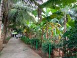 farm house sale ecr pattipulam chennai